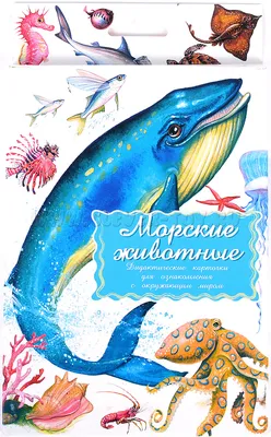 Находки на пляже: морские звезды Приморья - жестокие хищники или санитары  моря - PrimaMedia.ru