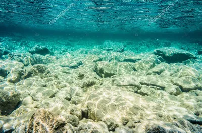 Морское дно - Экологичные фотообои из Санкт-Петербурга Экологичные фотообои  из Санкт-Петербурга