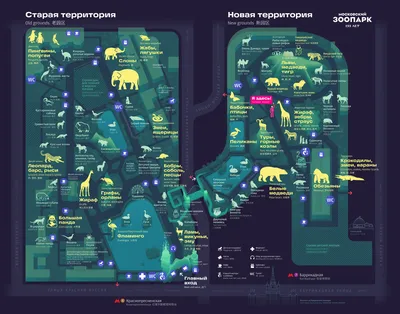 Московский зоопарк начал транслировать кормление животных - Российская  газета