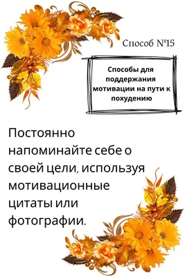 Мотивация для похудения: как найти и не потерять, советы психолога | РБК  Стиль