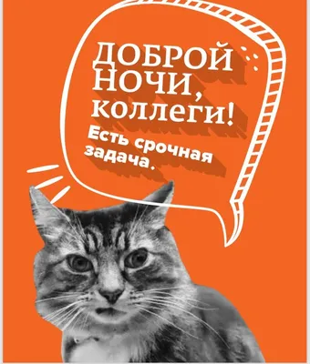 Работа на дому | Работа на дому, Мотивационные картинки, Картинки