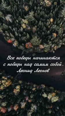 5 лучших цитат, мотивирующих к похудению | Похудение с Залиной Вартанян |  Дзен