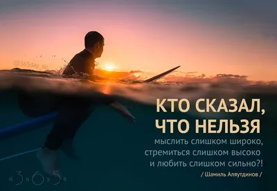 Лучшие цитаты и пословицы из Интернета в картинках - Canva