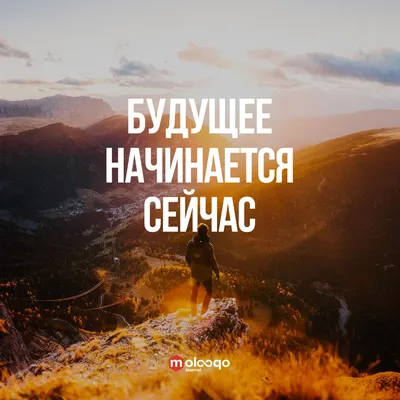 умереть, чтобы начать новую жизнь цитаты: 8 тыс изображений найдено в  Яндекс.Картинках | Мотивация, Цитата про путешествия, Мотивирующие цитаты