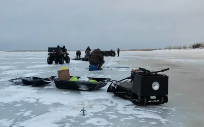 мотособака / смешные картинки и другие приколы: комиксы, гиф анимация,  видео, лучший интеллектуальный юмор.