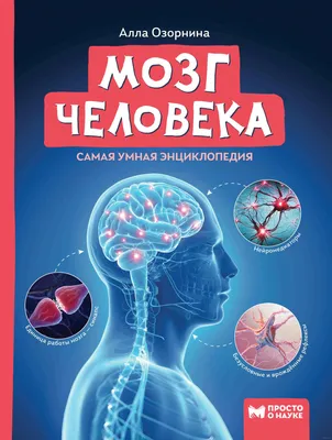 Ученые вырастили 21 идентичный участок переднего мозга человека - Индикатор