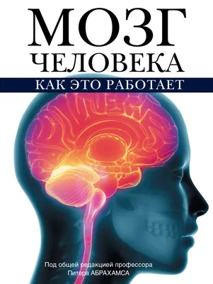 Правда ли,что, мозг человека работает только на 10%, 5%, 7%?? |  Любознательно, но факт! | Дзен