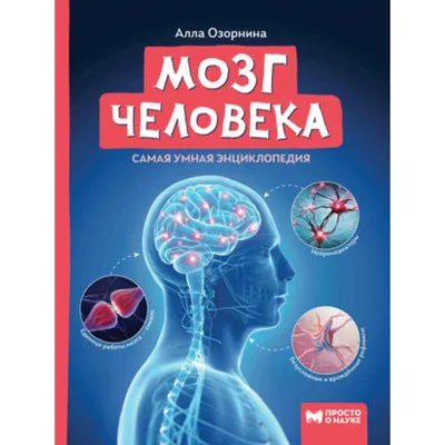 изображение головы человека с изображением его мозга, картинки, которые  будоражат мозг фон картинки и Фото для бесплатной загрузки