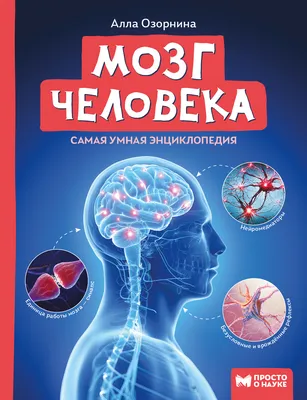 Эволюция мозга человека: между разумом и безумием