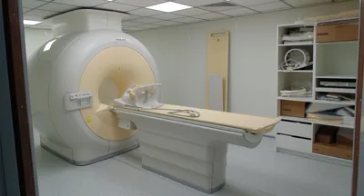 МРТ для животных | Как делают и для чего это нужно?