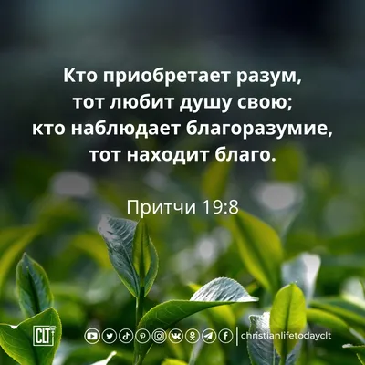 Мудрость веков. Философия - Філософія - Суспільство - Нехудожня література  - Книги