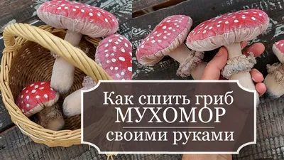 Картинки на тему #Мухомор - в Шедевруме