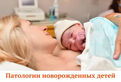 Скачать ГОСТ Р 70040-2022 Классификация болезней животных семейств псовых и  кошачьих