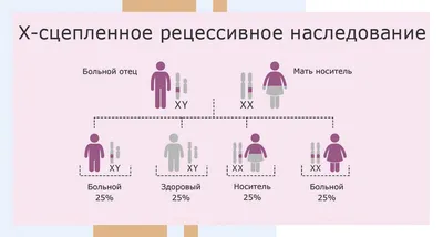 С муковисцидозом за границей можно прожить до 60, но в Узбекистане – сложно  дожить даже до 18 - Срочные новости Узбекистана: Repost.uz