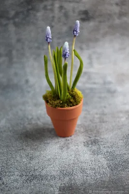 Букет из белых мускари - заказать доставку цветов в Москве от Leto Flowers