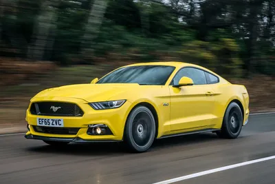 Ratgeber: Kaufberatung Ford Mustang V / VI : Galopper des Jahres | STERN.de