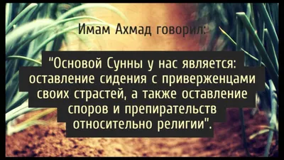 Картинки красивые мусульманские со словами (70 фото) » Юмор, позитив и  много смешных картинок