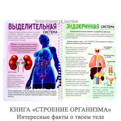 Голая грудь и отсутствие смысла: 6 провальных реклам западных брендов -  Газета.Ru