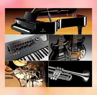 Необычные музыкальные инструменты: декакорд | музыкальный блог musicmarket