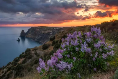 Пляж Каравелла, мыс Фиолент, Крым - описание, фото, как добраться