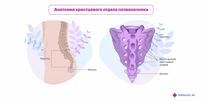 Грыжа поясничного отдела позвоночника ✓: симптомы, признаки и причины,  диагностика и лечение