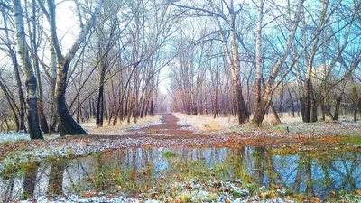 Морозное утро, начало зимы, холодное…» — создано в Шедевруме