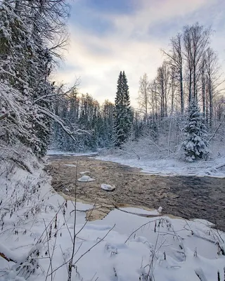 Начало зимы (Иришка Осипова) / Стихи.ру