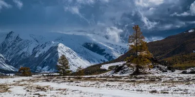 У леса на опушке... / Начало зимы Лес у озера Исток