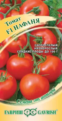 Домовой Нафаня из мультика про домовенка Кузю в интернет-магазине Ярмарка  Мастеров по цене 5000 ₽ – F652JBY | Мягкие игрушки, Москва - доставка по  России