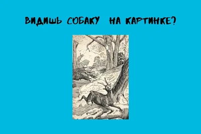 Загадки на внимательность - найдите гнома на картинке меньше чем за 1 минуту