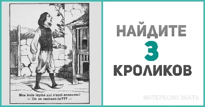 Загадка: сможете ли вы найти на картинке 3 кроликов