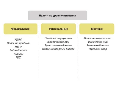 Налоги – виды и функции налоговой, налоговая нагрузка