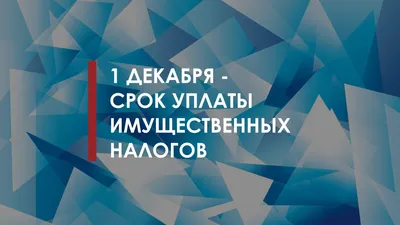 В каких случаях за дополнительные доходы надо платить налоги? Рассказали в  прокуратуре Витебской области