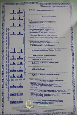 Что делать, если запутался в количестве ракаатов в намазе - Махачкалинские  известия