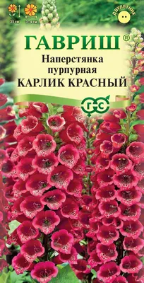 Красота на кончиках пальцев: посадка и выращивание загадочной наперстянки |  Интернет-магазин садовых растений