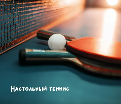 Сколько играют в настольный теннис в IT? - SoftTeco Team