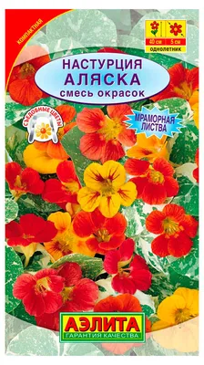 Семена цветов Настурция низкорослая \"Желание\" Поиск - «🌺Пикантный вкус.  Много витаминов. Полезный сидерат для почвы. А главное - цветы не прячутся»  | отзывы