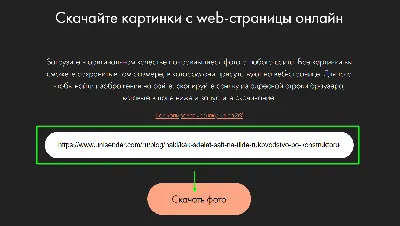 Как найти человека по фотографии. 3 рабочих способа