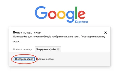 Как найти автора картинки в интернете | Соцсети и заработок | Дзен