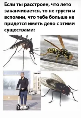 Друг, не грусти)) - Смешные фотки и видошки | Facebook