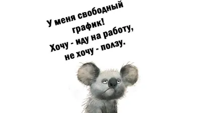 Михалков высказался о работе с релокантами фразой «не хочу и не буду»:  Кино: Культура: Lenta.ru