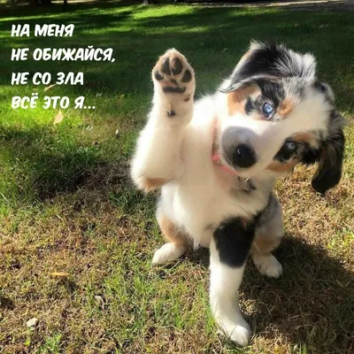 Не обижайся!