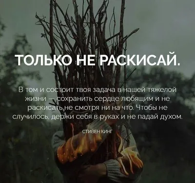 Не расстраивайся по поводу людей или ситуаций. Они бессильны без твоей  реакции | Бизнес. Психология. Деньги. | Дзен