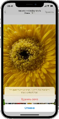 Удаление фотографий на iPhone и iPad - Служба поддержки Apple (RU)
