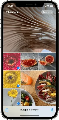 Удаление фотографий на iPhone и iPad - Служба поддержки Apple (RU)