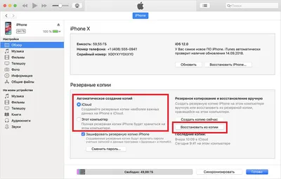 10 способов освободить память на iPhone и iPad - купить по доступной цене в  ЖЖУК