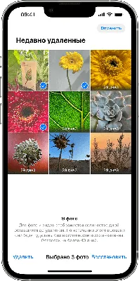 Как восстановить фотографии на iPhone: 5 способов