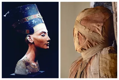 Nefertiti wants to go home” - Alain Gresh