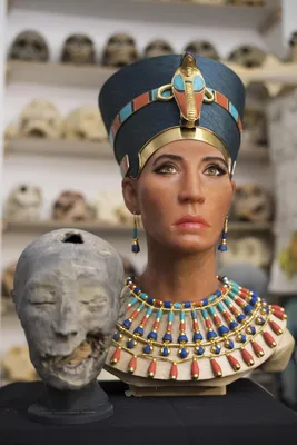 Nefertiti was no pharaoh, says renowned Egyptologist