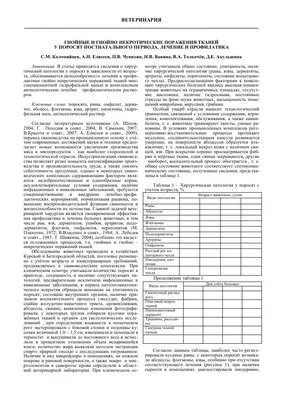 Гнойные раны – симптомы, причины, диагностика и лечение заболевания у  взрослых в клинике «Будь Здоров»